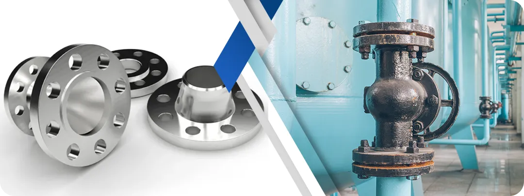 Hastelloy C22 Flanges